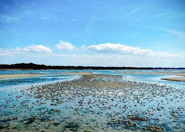 4 Person In Jaegerspris-by Traum Дом отдыха *